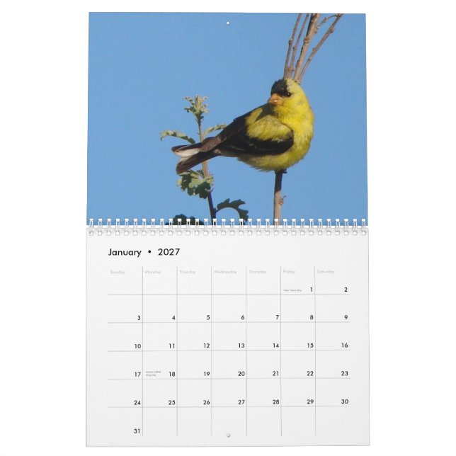 Calendário Pássaros de America do Norte 2011 (Jan 2027)