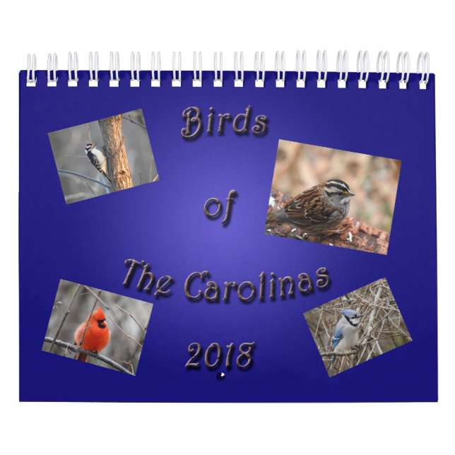 Calendário Pássaros do Carolinas (Capa)