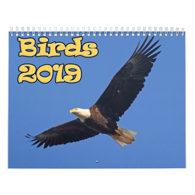 Calendário Pássaros do nordeste (Capa)