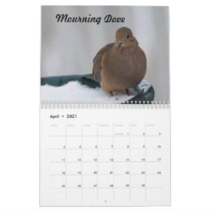 Calendário Pássaros do Quintal do Missouri