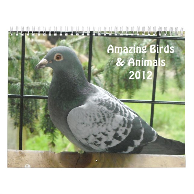 Calendário Pássaros e Animais Incríveis 2012 (Capa)