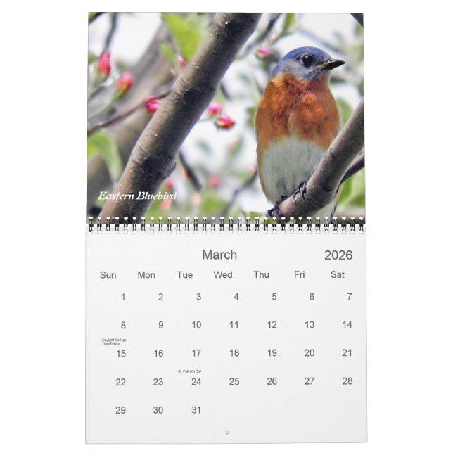 Calendário Pássaros em sua fotografia do quintal (Mar 2026)