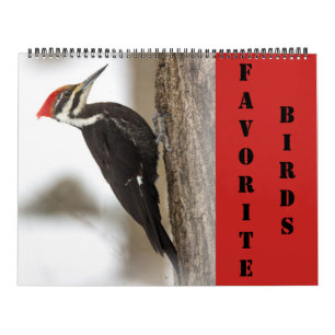 Calendário - Pássaros Favoritos