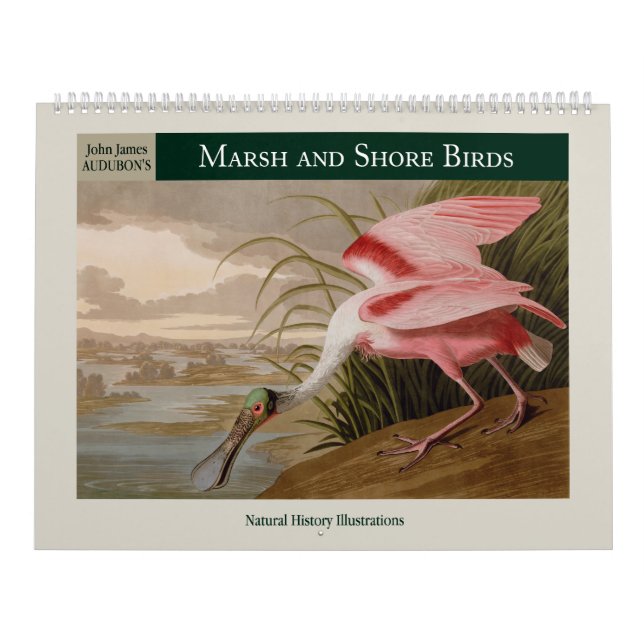 Calendário Pássaros Marsh e Shore 2026 da Audubon (Capa)