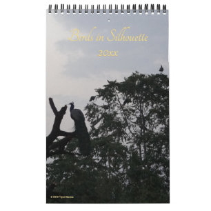 Calendário Pássaros na Parede Fotográfica 2026 da Silhouette