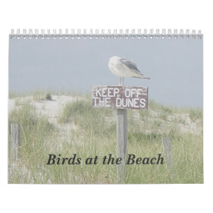 Calendário - Pássaros na Praia