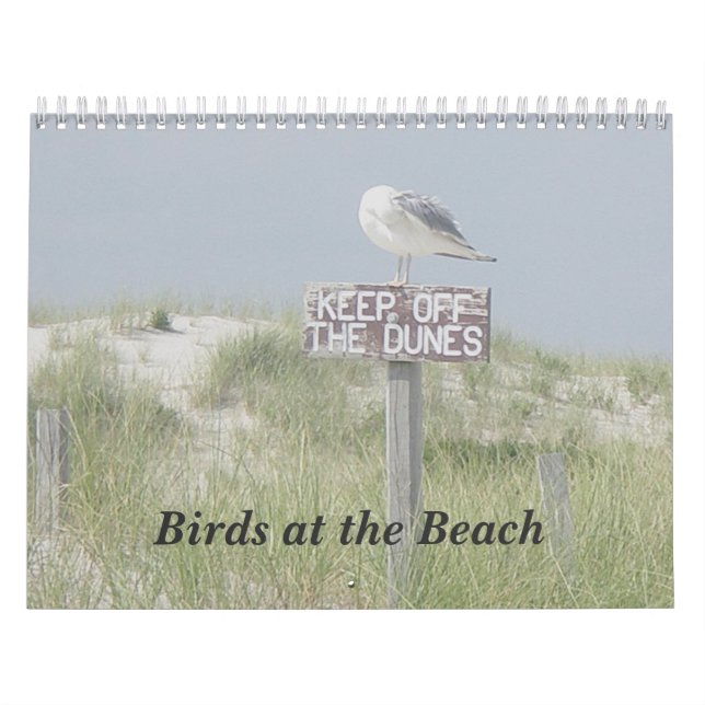 Calendário - Pássaros na Praia (Capa)
