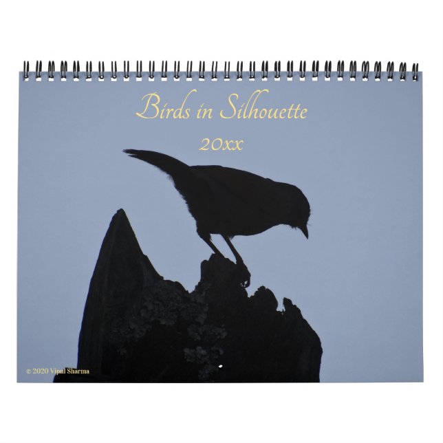 Calendário Pássaros na Silhouette Nature Foto 2026 (Capa)
