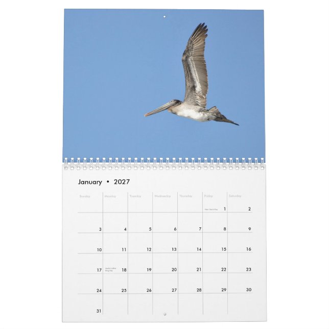 Calendário Pássaros noroestes pacíficos (Jan 2027)