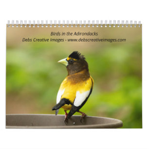 Calendário Pássaros nos Adirondacks 2026