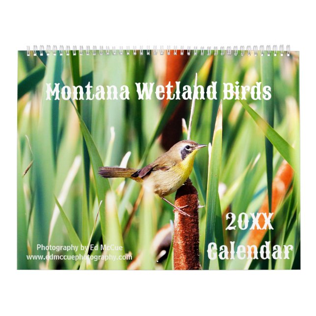 Calendário Pássaros úmidos de Montana (Capa)