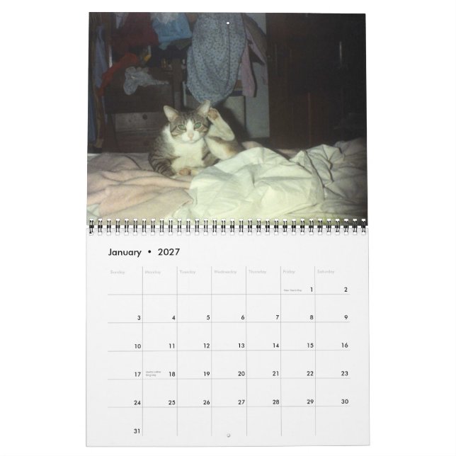 CALENDÁRIO PATINETE 2007 (Jan 2027)