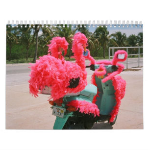 Calendário Patinete foleiro de Key West