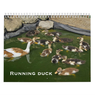Calendário Pato Running
