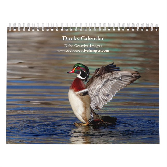 Calendário Patos 2026 (Capa)