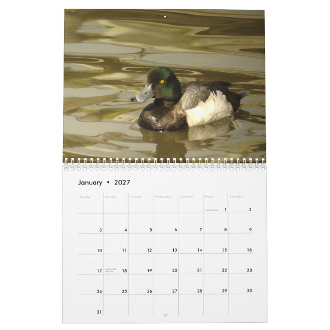Calendário Patos de America do Norte 2010 (Jan 2027)