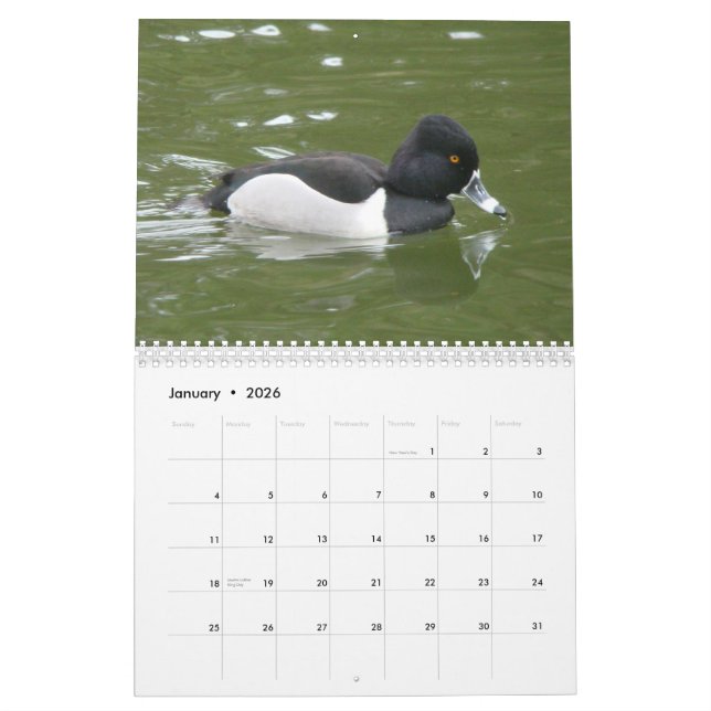 Calendário Patos de America do Norte, 2011 (Jan 2026)