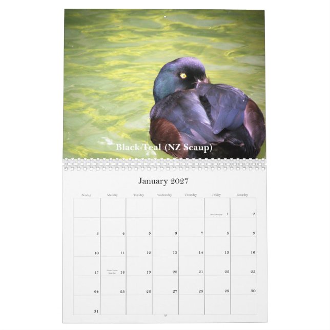 Calendário Patos de Nova Zelândia (Jan 2027)