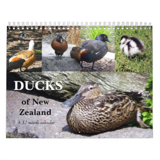 Calendário Patos de Nova Zelândia