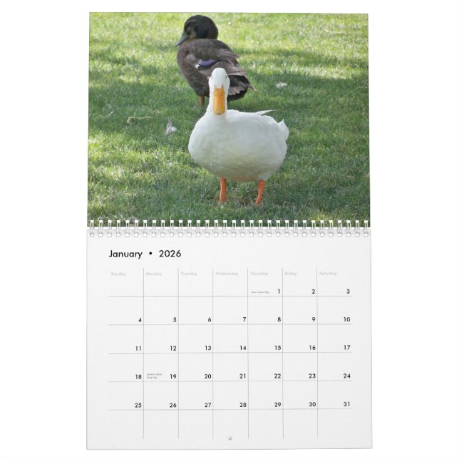 Calendário Patos selvagens (Jan 2026)