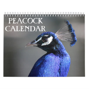 Calendário Pavão 2024