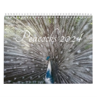 Calendário Pavão 2024