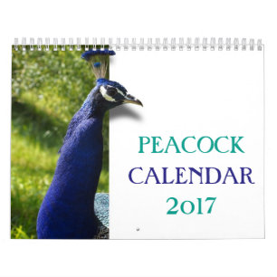 Calendário Pavão bonito 2017