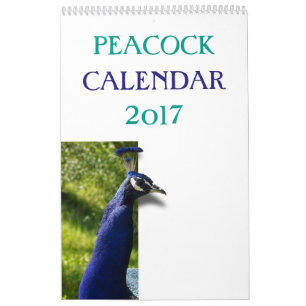 Calendário Pavão colorido 2017