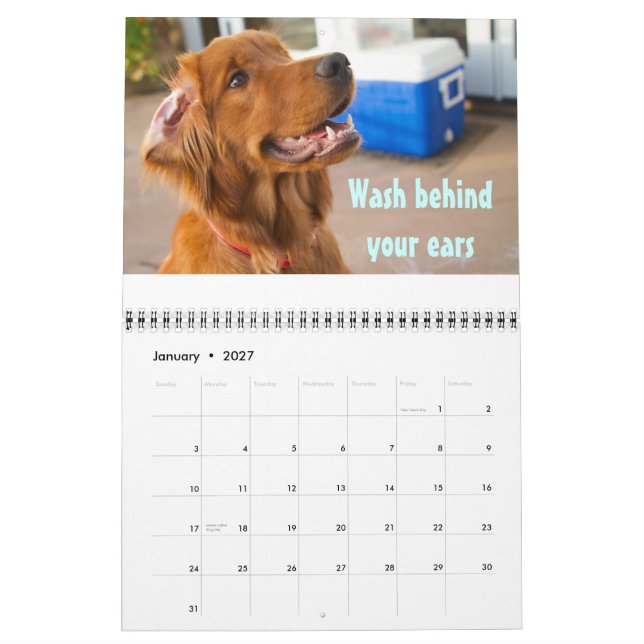 Calendário Pawcurioso 2011 (Jan 2027)