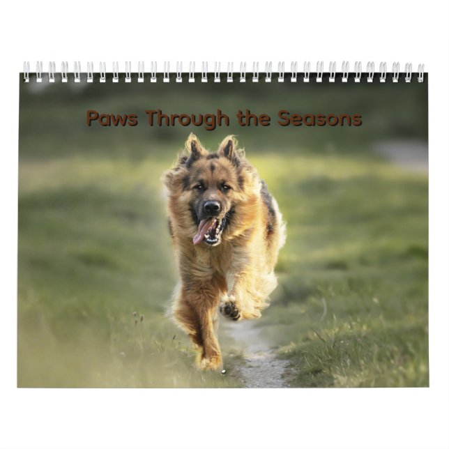 Calendário Paws Through the Seasons Calendar (Capa)