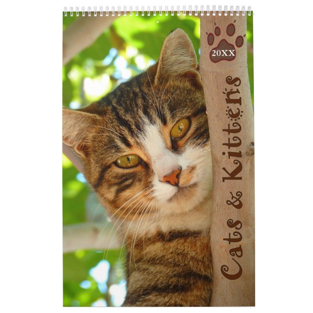 Calendário Pawsitively Cats and Kittens 2021 (Capa)
