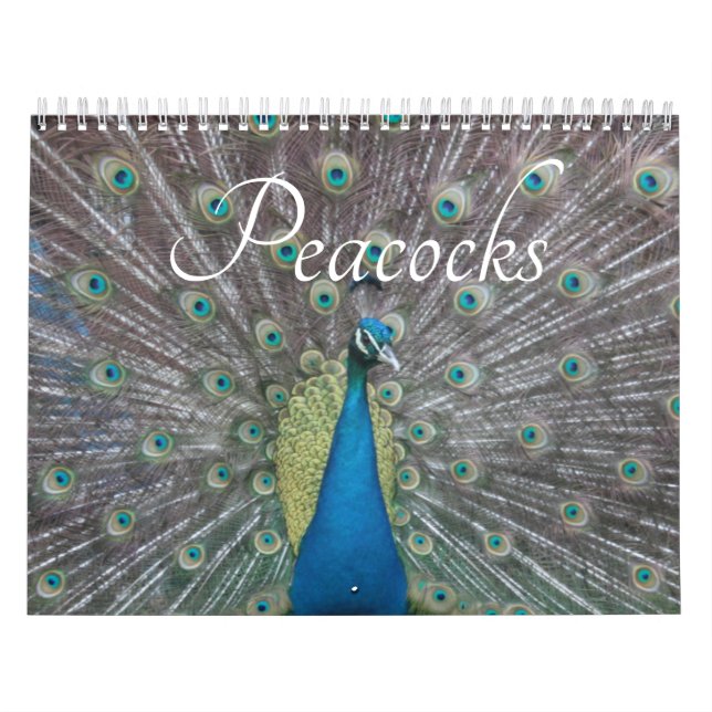 Calendário Peacock Calendar (Capa)