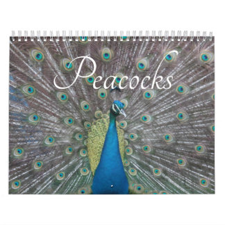 Calendário Peacock Calendar