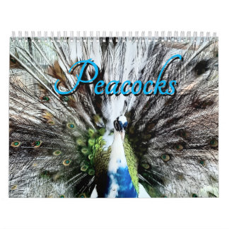 Calendário Peacock Calendar