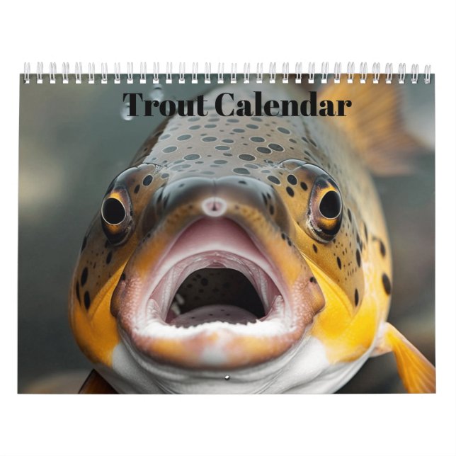 Calendário Peixe-Arco-Íris 2024 (Capa)