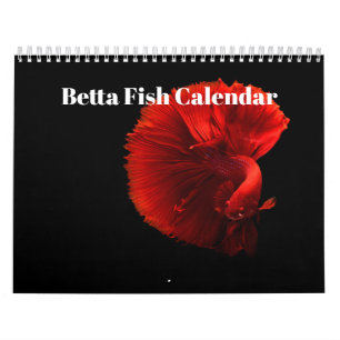 Calendário Peixe-betta 2027