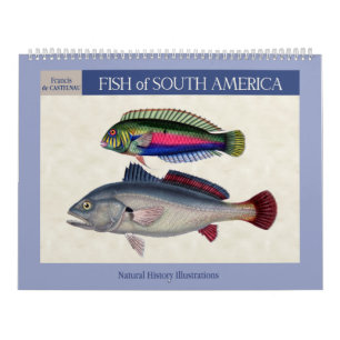 Calendário Peixes da América do Sul 2022