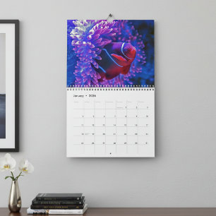 Calendário Peixes Tropicais Coloridos 2027 Paraíso Subaquátic