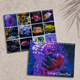 Calendário Peixes Tropicais Coloridos Paraíso Subaquático 2