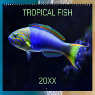 Calendário Peixes Tropicais Editáveis