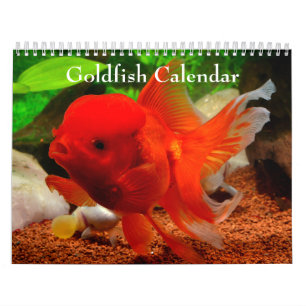 Calendário Peixinho Dourado 2027