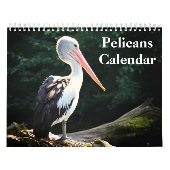 Calendário Pelanes Bird 2025 (Capa)