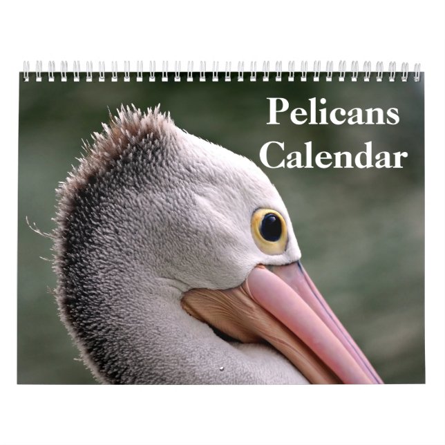 Calendário Pelanes Bird 2025 (Capa)