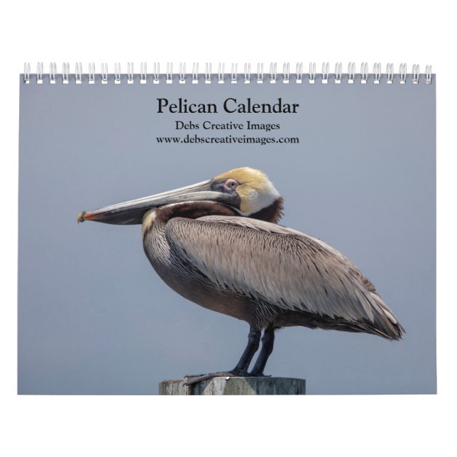 Calendário Pelicano 2026 (Capa)