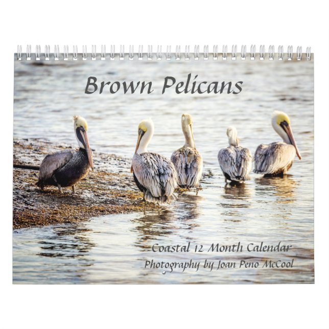 Calendário Pelicano Brown (Capa)