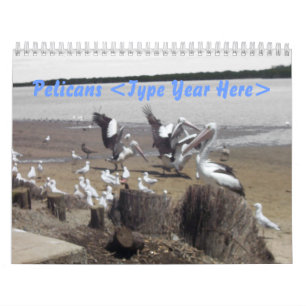 Calendário Pelicanos