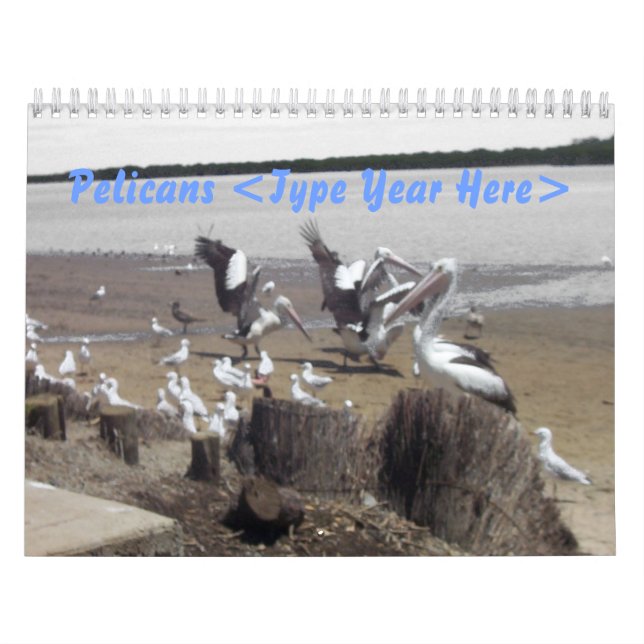 Calendário Pelicanos (Capa)