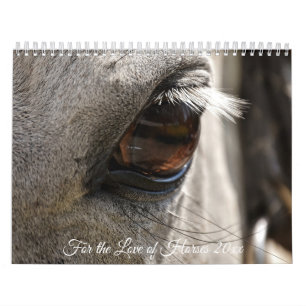 Calendário Pelo Amor dos Cavalos