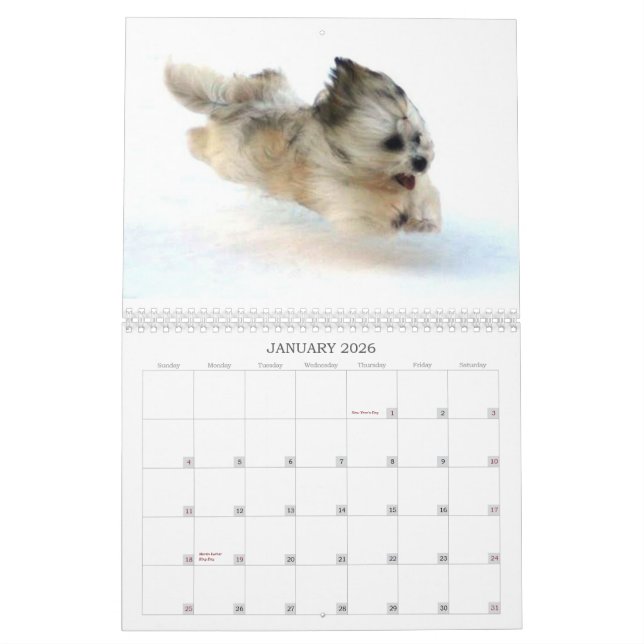 Calendário Peluito Havanese. 2011 (Jan 2026)
