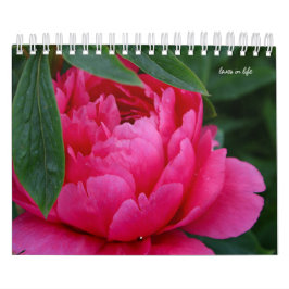 Calendário Peony Flower